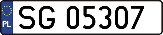 SG05307