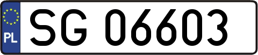 SG06603