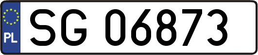 SG06873