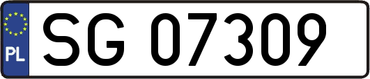 SG07309