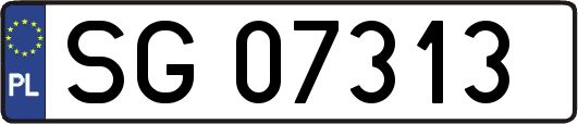 SG07313