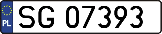 SG07393