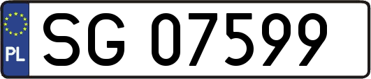SG07599