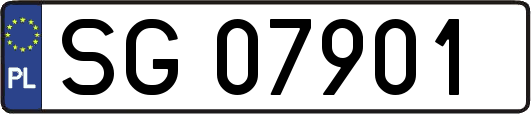 SG07901