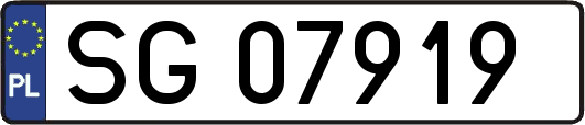 SG07919