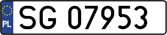 SG07953