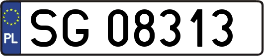 SG08313
