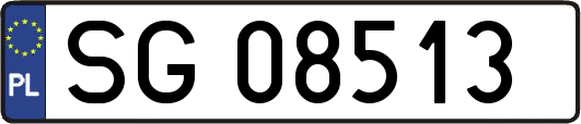 SG08513