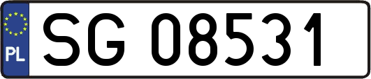 SG08531