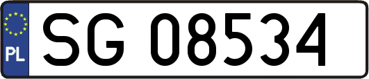 SG08534