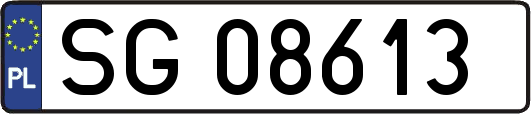 SG08613