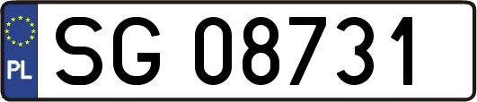 SG08731