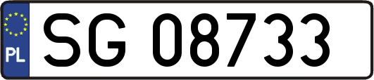 SG08733