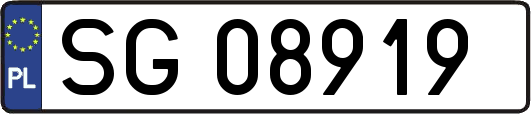 SG08919