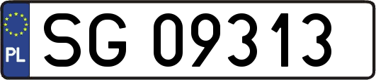 SG09313
