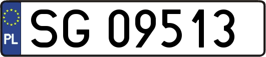 SG09513