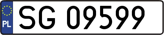 SG09599