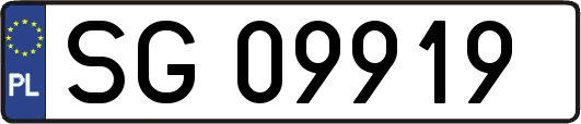 SG09919