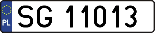 SG11013