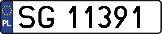 SG11391