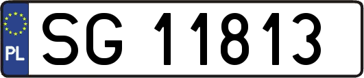 SG11813