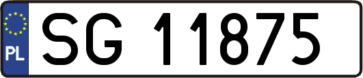 SG11875