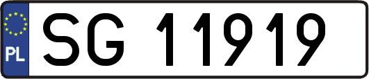 SG11919