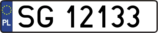 SG12133