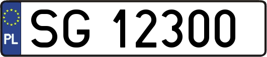 SG12300