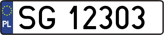SG12303