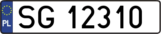 SG12310