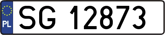 SG12873