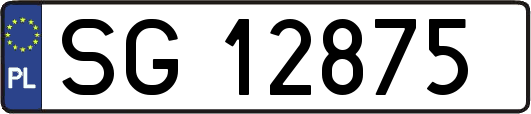 SG12875
