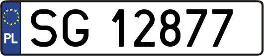 SG12877