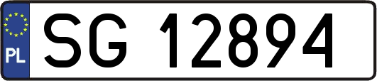 SG12894