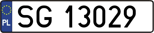 SG13029