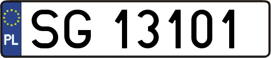 SG13101