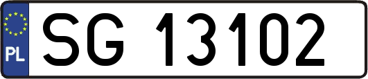 SG13102