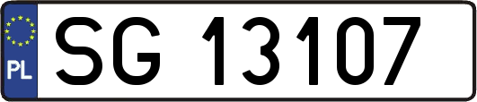 SG13107