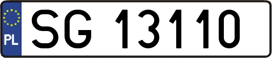 SG13110