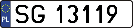 SG13119