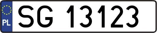 SG13123