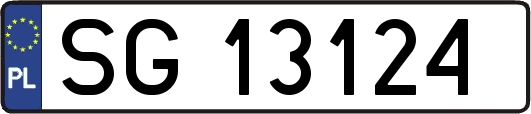SG13124