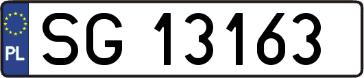 SG13163