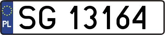 SG13164