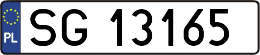 SG13165