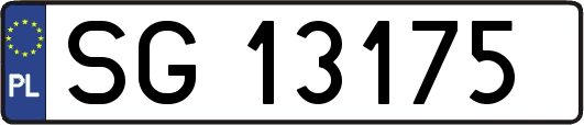 SG13175