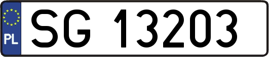 SG13203