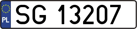 SG13207