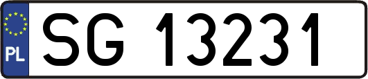 SG13231